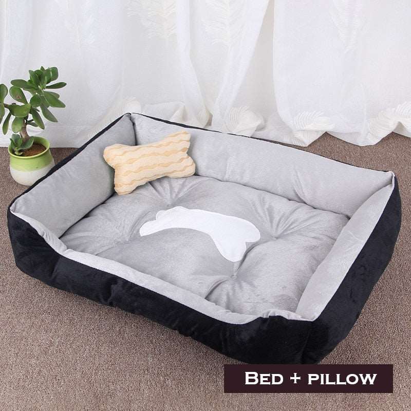 Dog Sofa Australiandogbrokers.com.au