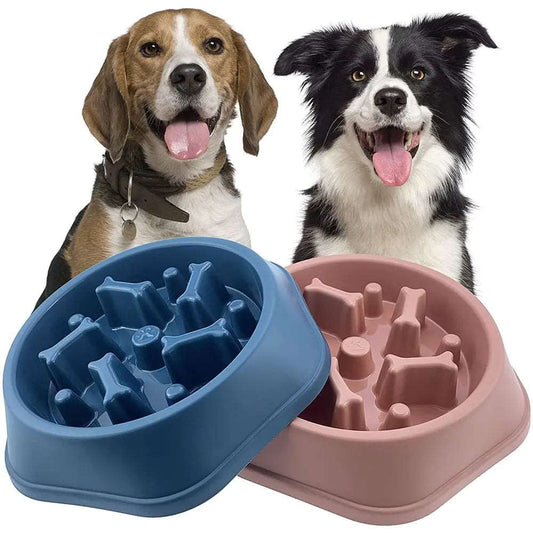 Dog Bowl Slow Feeder Australiandogbrokers.com.au