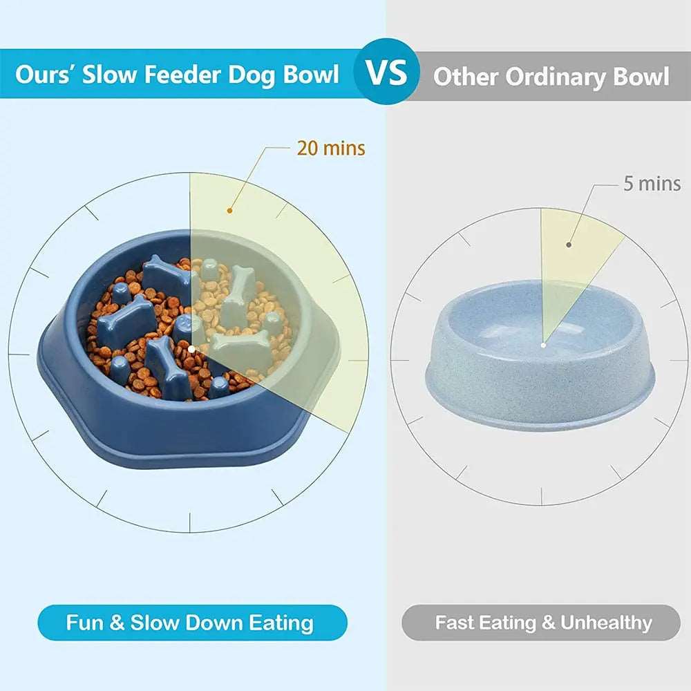 Dog Bowl Slow Feeder Australiandogbrokers.com.au