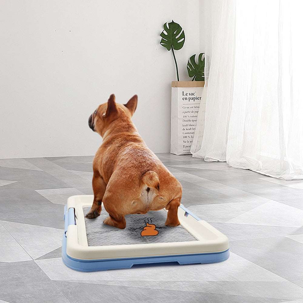 Portable Dog Training Tray Australiandogbrokers.com.au