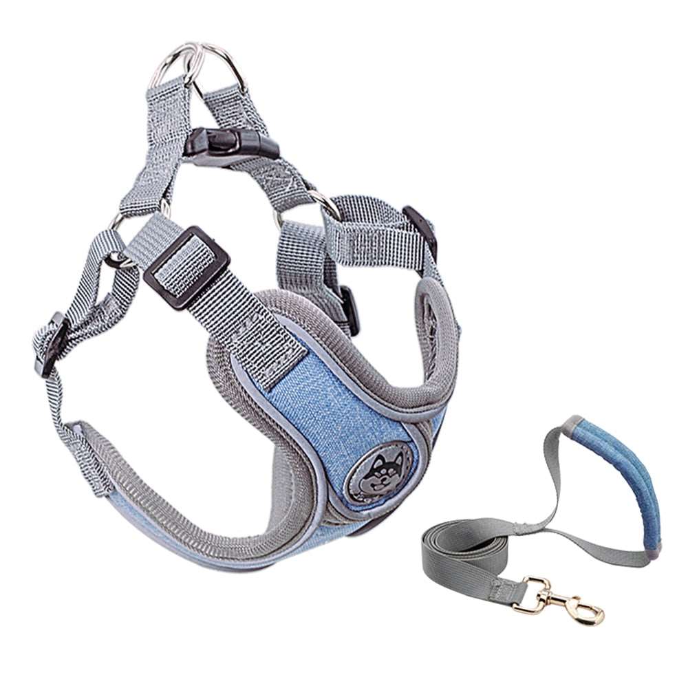 Small Dog Harness Australiandogbrokers.com.au