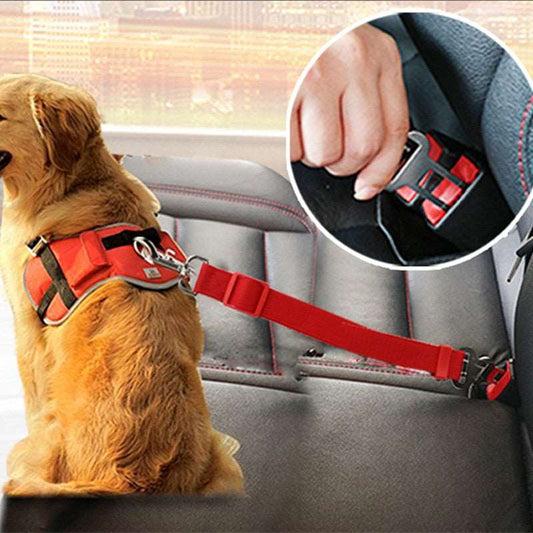 Seat belt for dogs Australiandogbrokers.com.au