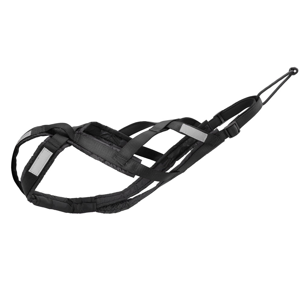 Waterproof Dog Sled Harness Australiandogbrokers.com.au