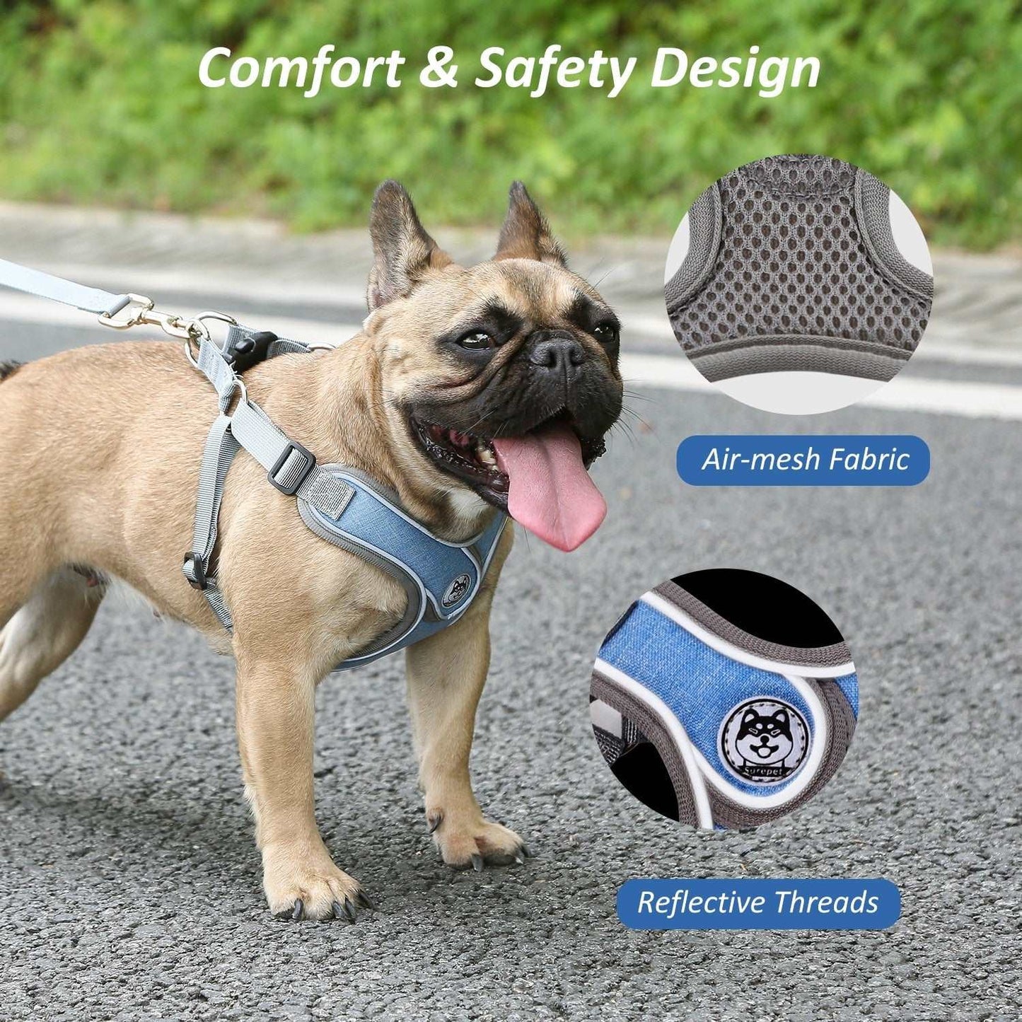 Small Dog Harness Australiandogbrokers.com.au