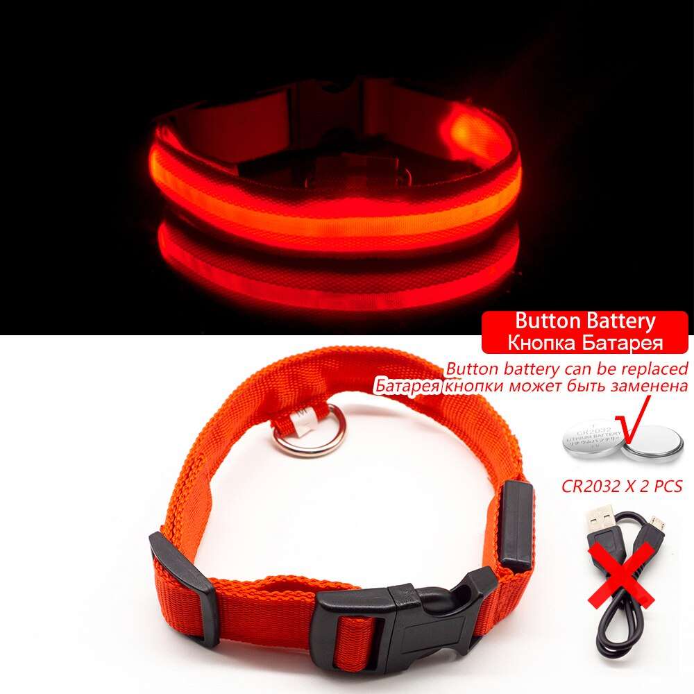 Light Up Collars Australiandogbrokers.com.au