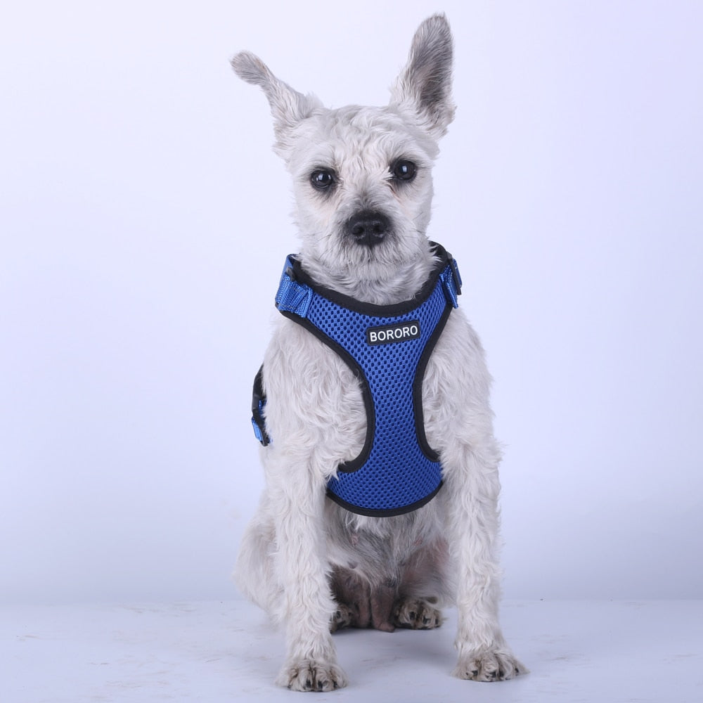 Breathable Dog Vest Australiandogbrokers.com.au