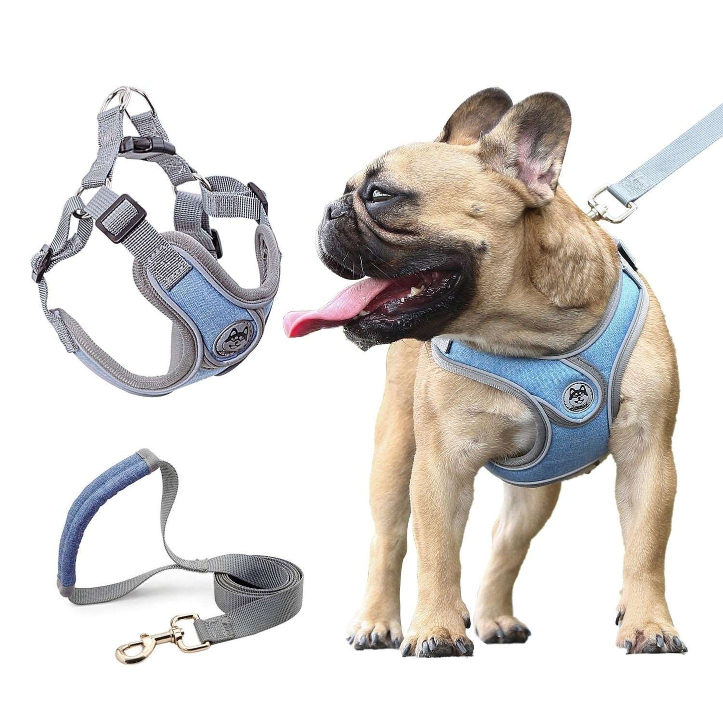 Small Dog Harness Australiandogbrokers.com.au