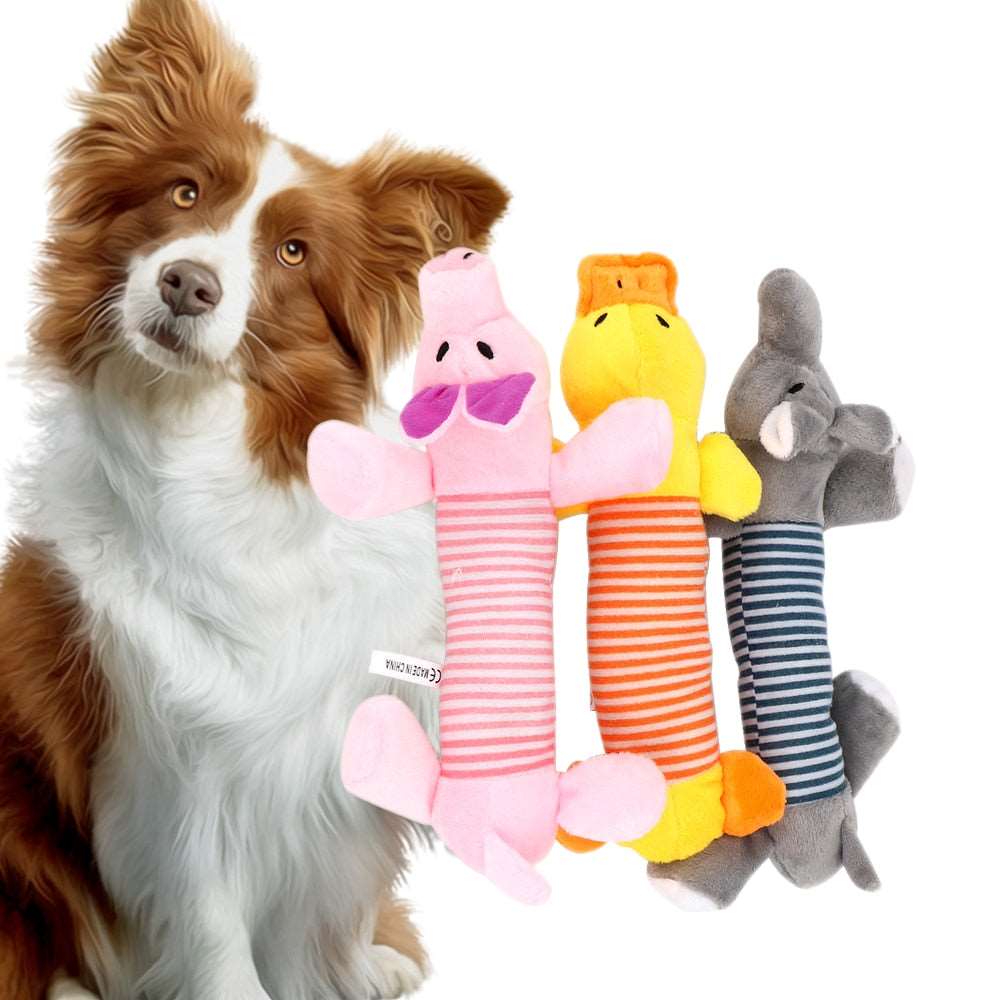 Squeak Chew Dog Toy Australiandogbrokers.com.au