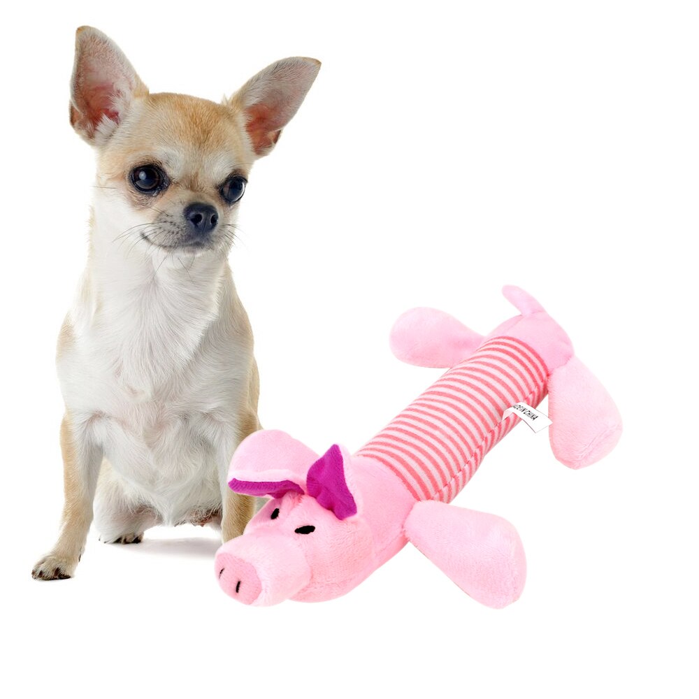 Squeak Chew Dog Toy Australiandogbrokers.com.au