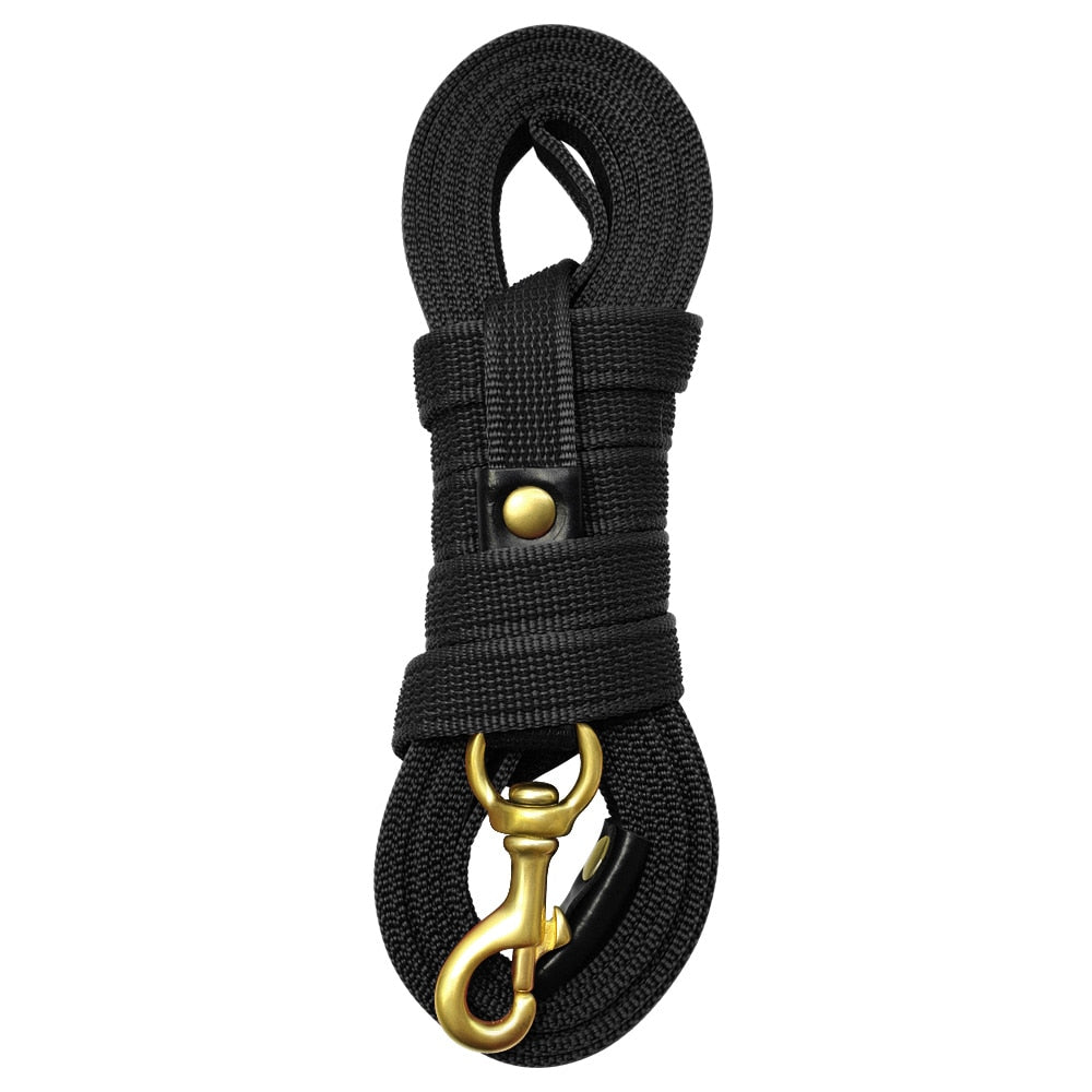 Long Dog Leash Australiandogbrokers.com.au