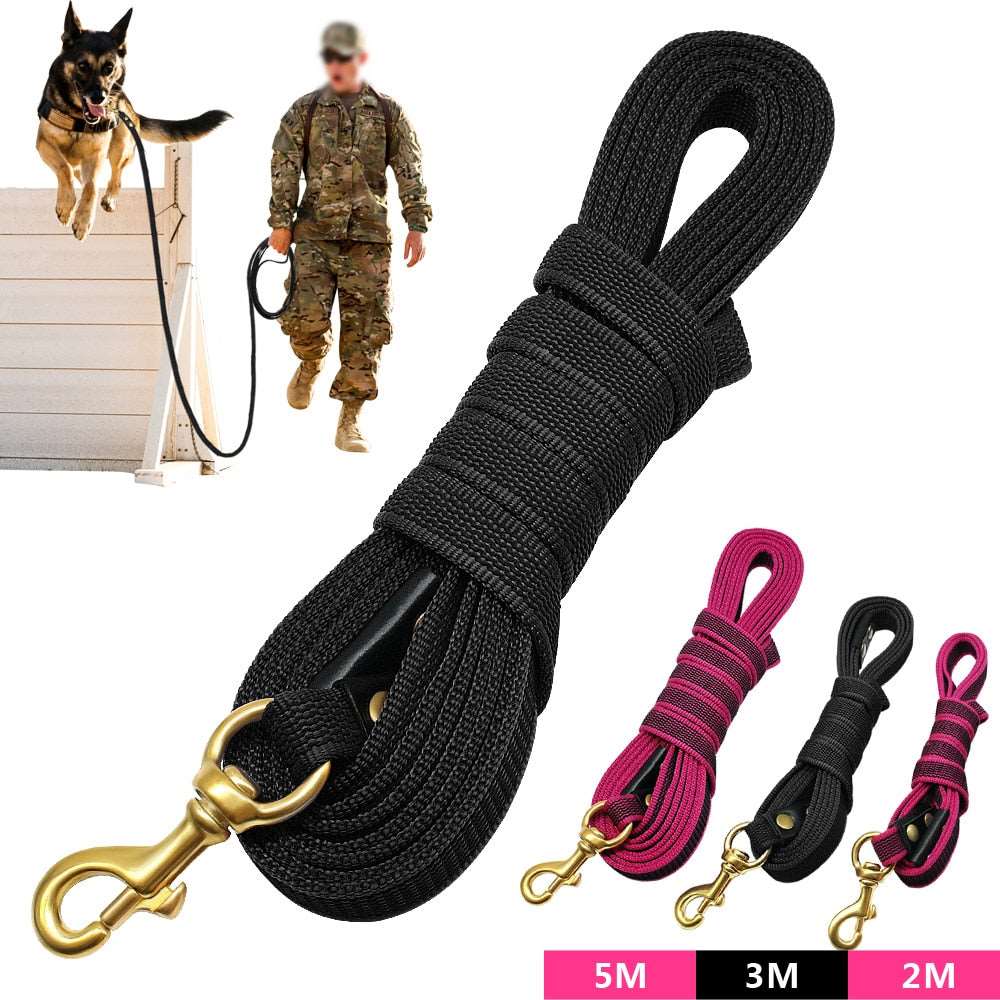 Long Dog Leash Australiandogbrokers.com.au