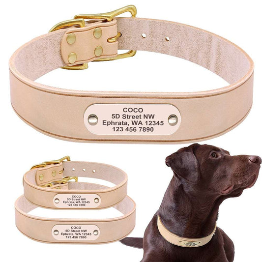 Personalized Dog Collar Velvet Leather Australiandogbrokers.com.au