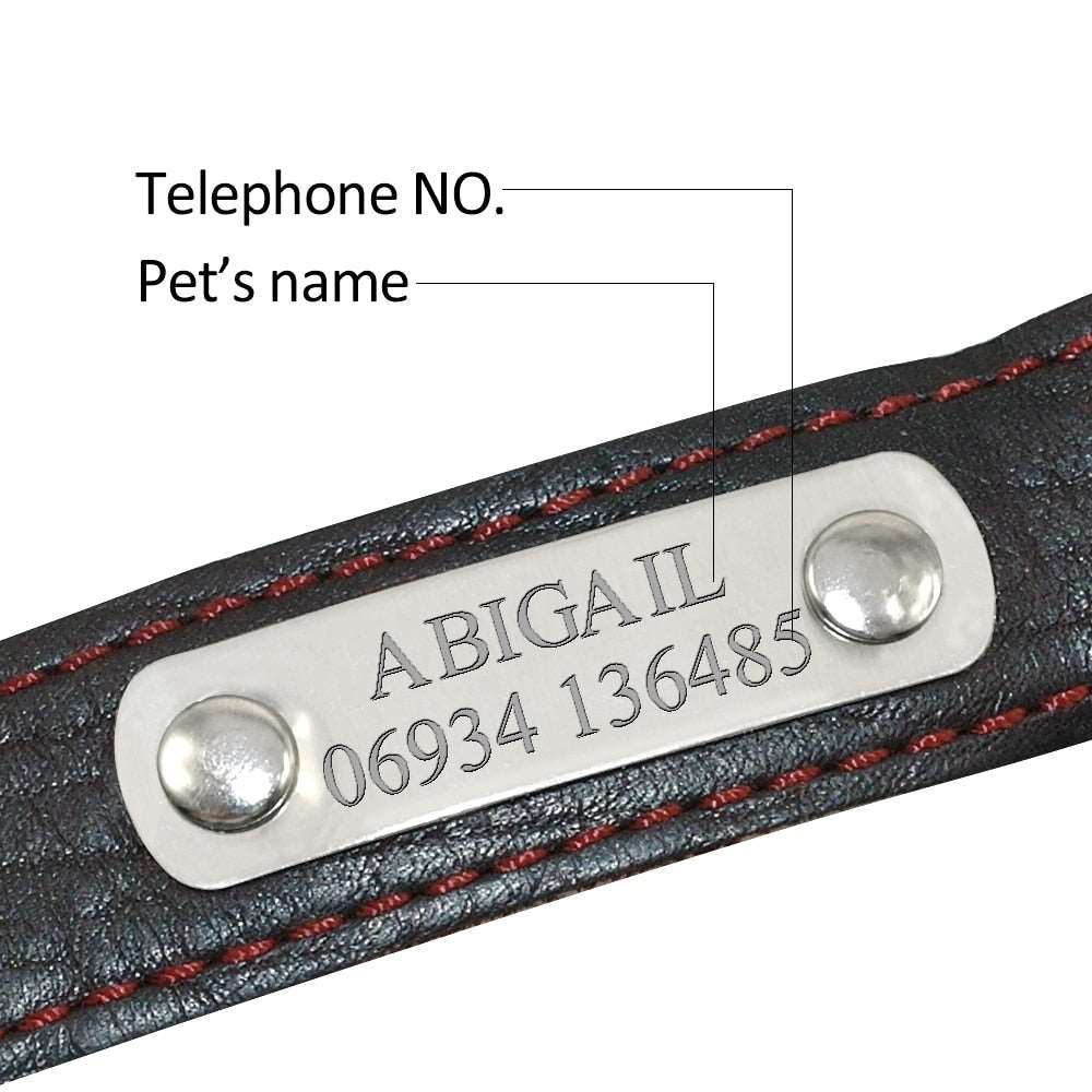 Customized Dog Collars Genuine Leather Australiandogbrokers.com.au