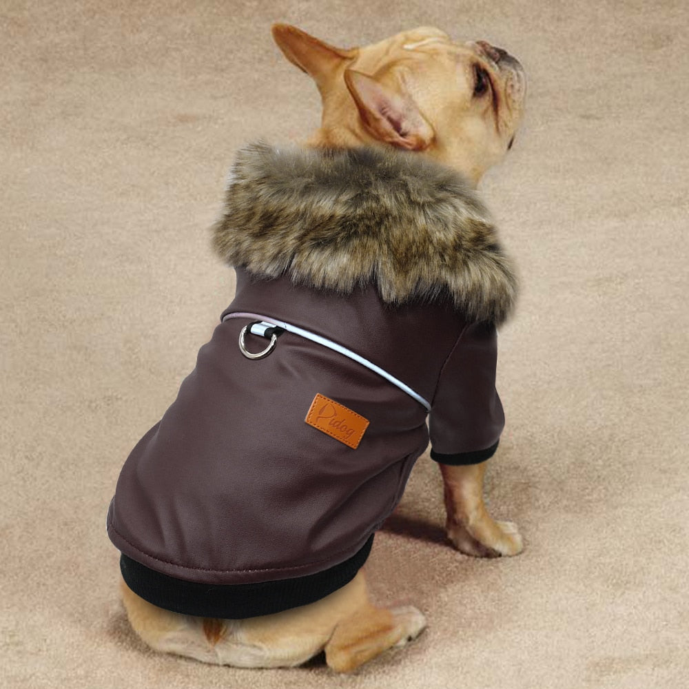 Winter Dog Coat Australiandogbrokers.com.au