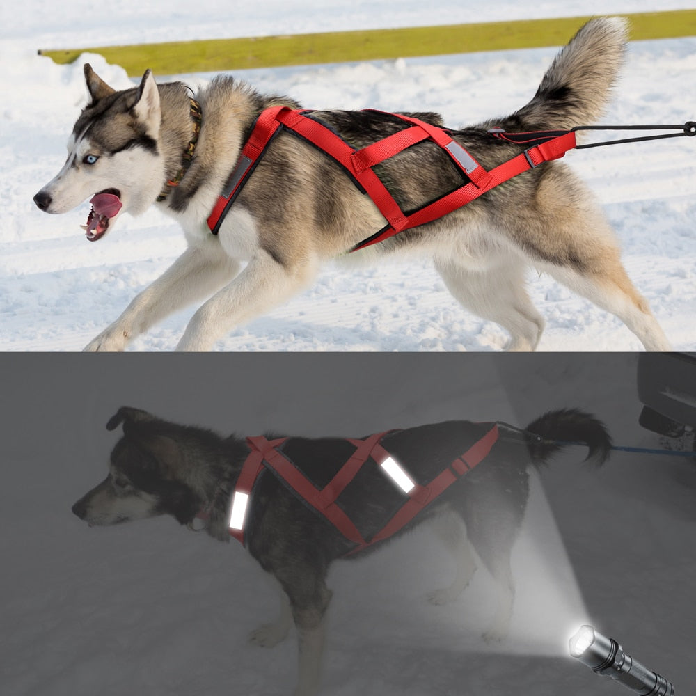 Waterproof Dog Sled Harness Australiandogbrokers.com.au