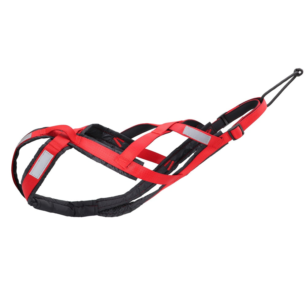 Waterproof Dog Sled Harness Australiandogbrokers.com.au