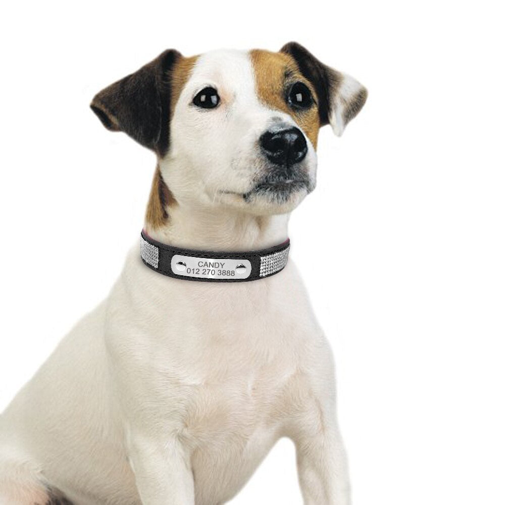 Personalized Dog Collar Australiandogbrokers.com.au