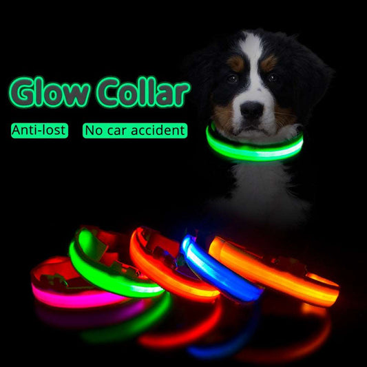 Light Up Collars Australiandogbrokers.com.au