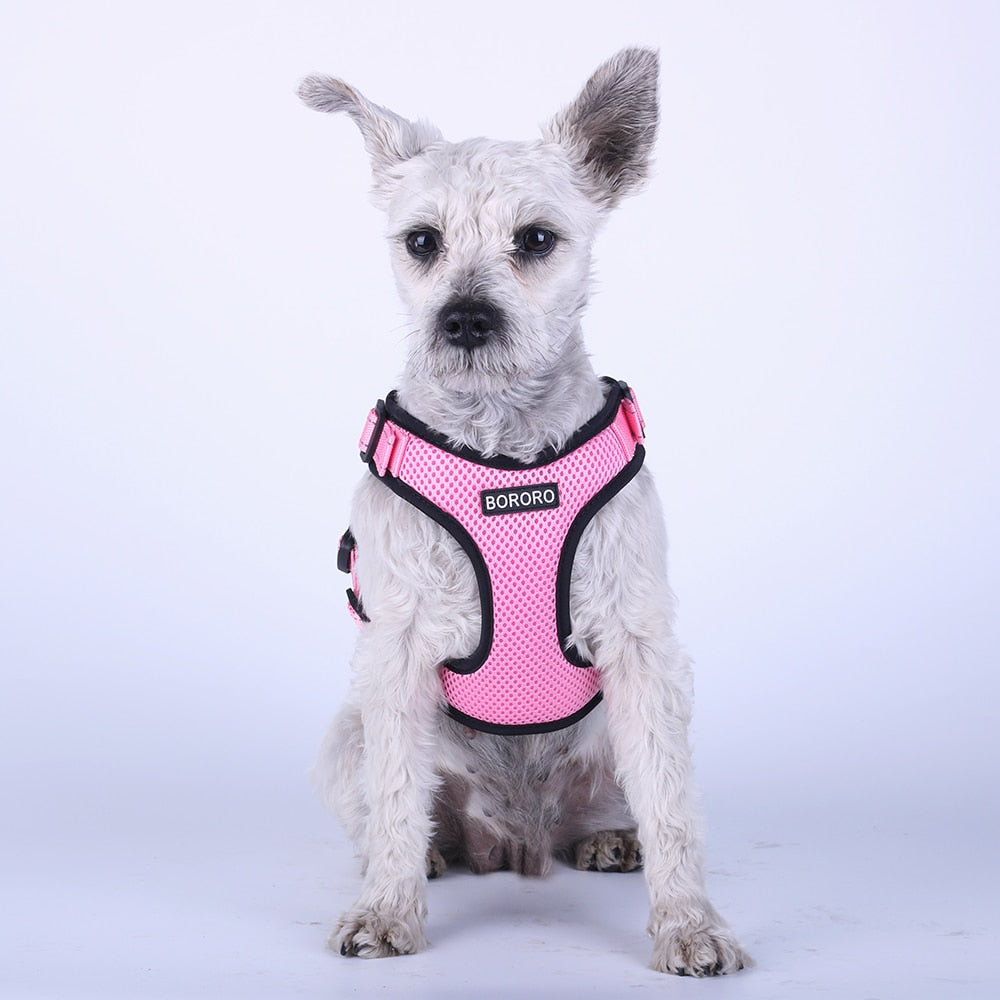 Breathable Dog Vest Australiandogbrokers.com.au