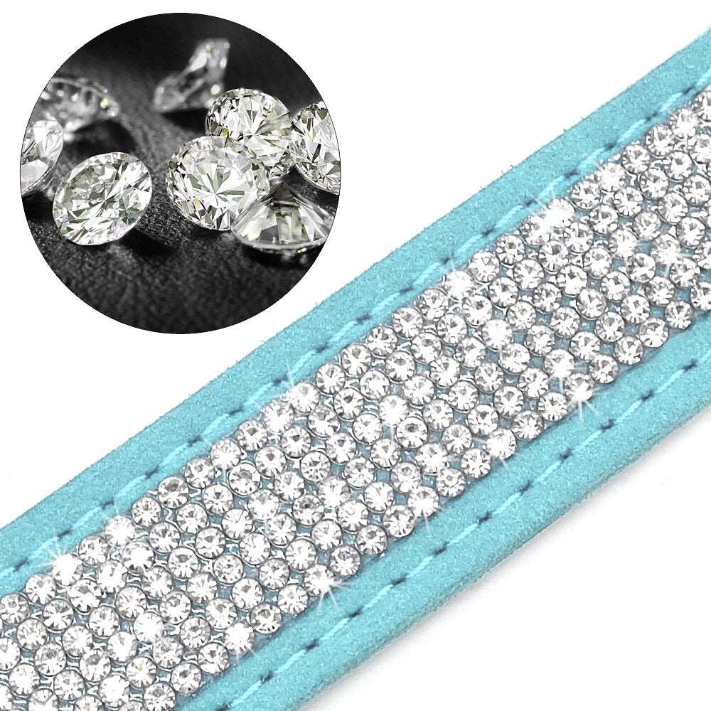 Personalized Dog Collar Australiandogbrokers.com.au