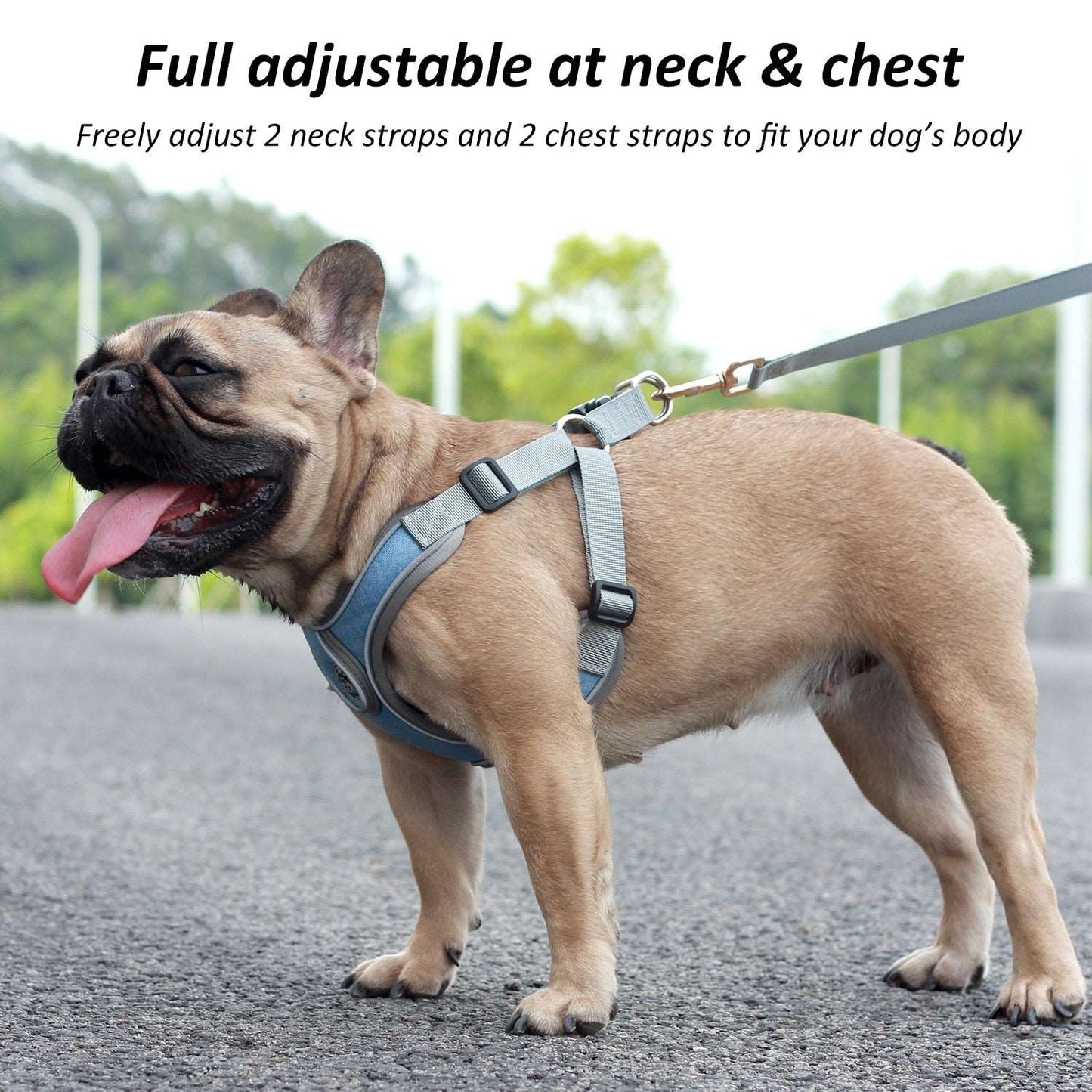 Small Dog Harness Australiandogbrokers.com.au