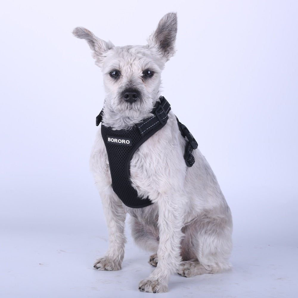 Breathable Dog Vest Australiandogbrokers.com.au