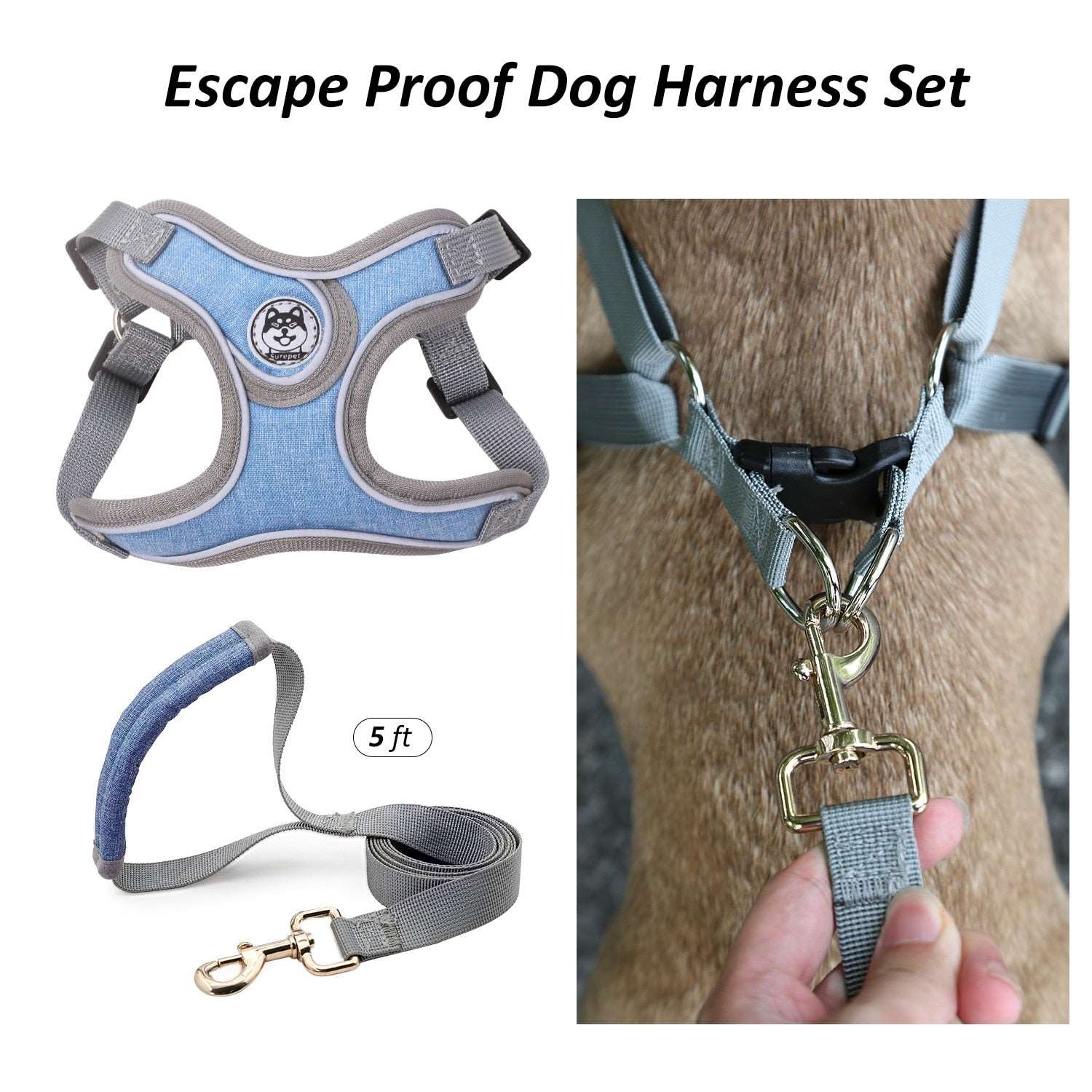 Small Dog Harness Australiandogbrokers.com.au