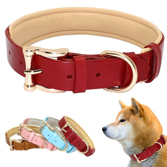 Leather Collars Australiandogbrokers.com.au