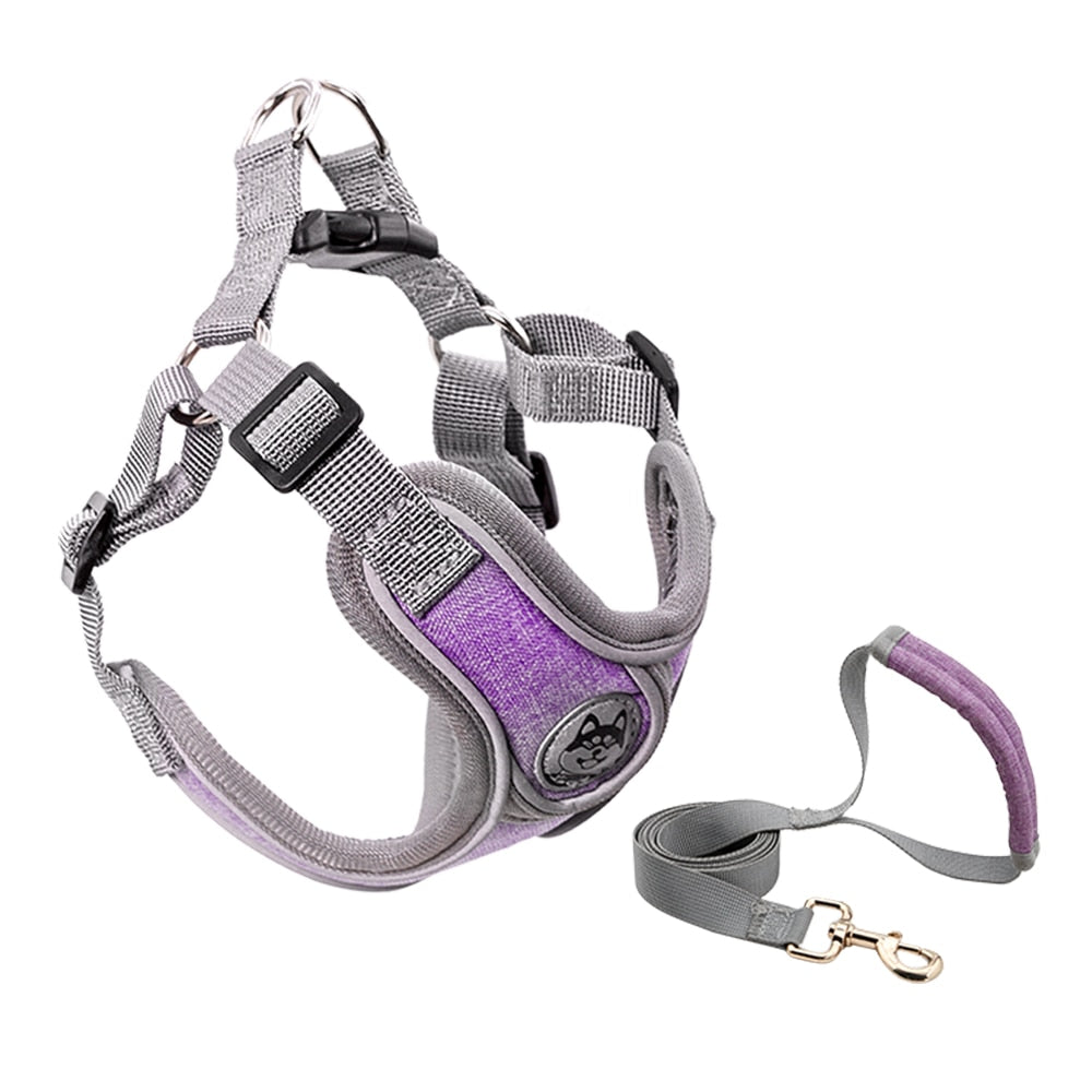 Small Dog Harness Australiandogbrokers.com.au