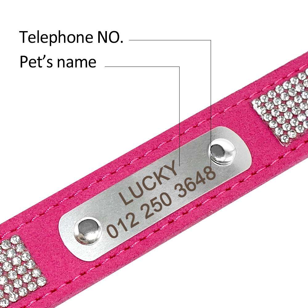 Personalized Dog Collar Australiandogbrokers.com.au