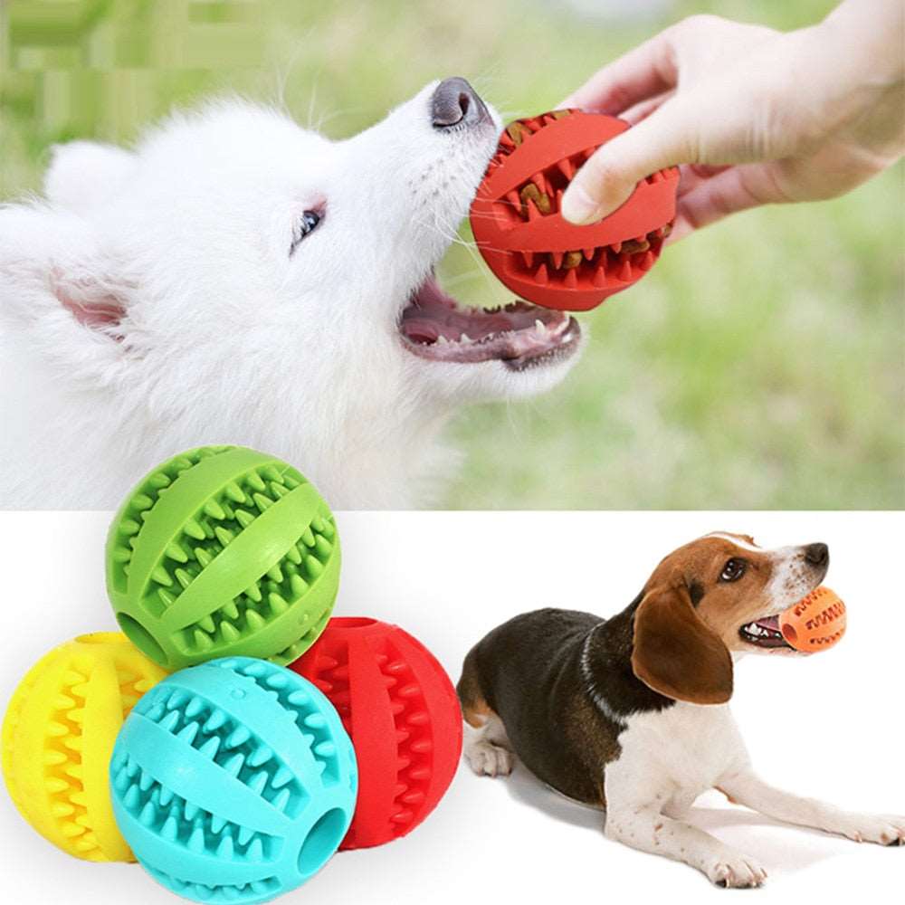 Dog Bite Toy Australiandogbrokers.com.au