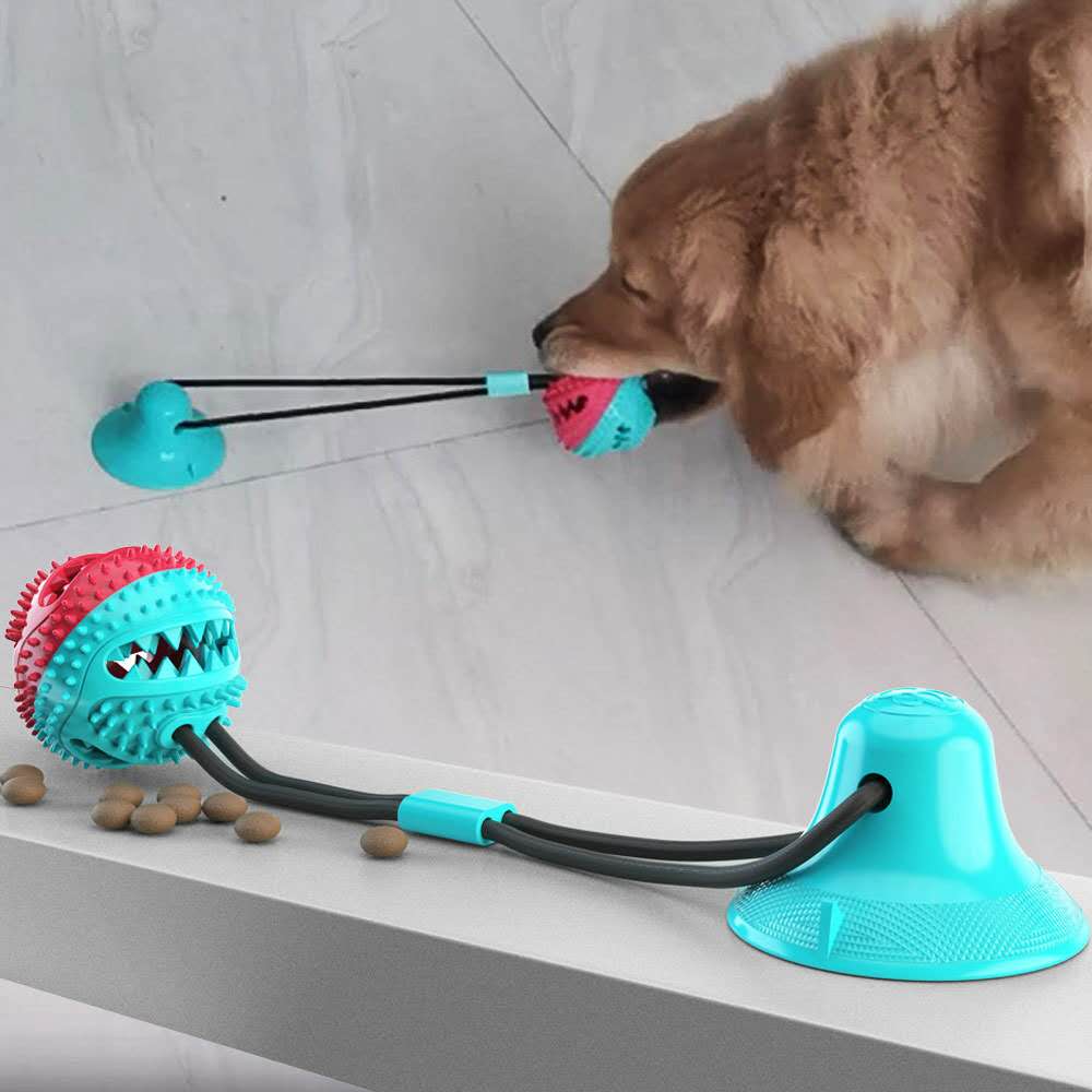 Suction Cup Tug Toy Australiandogbrokers.com.au