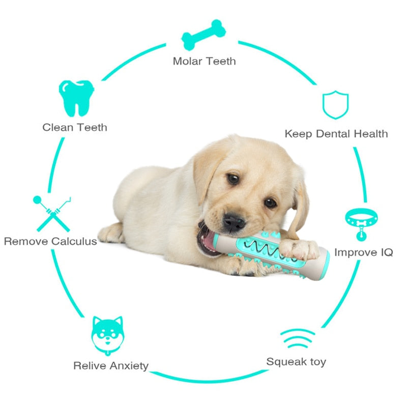 Dog Molar Toothbrush Toys Australiandogbrokers.com.au