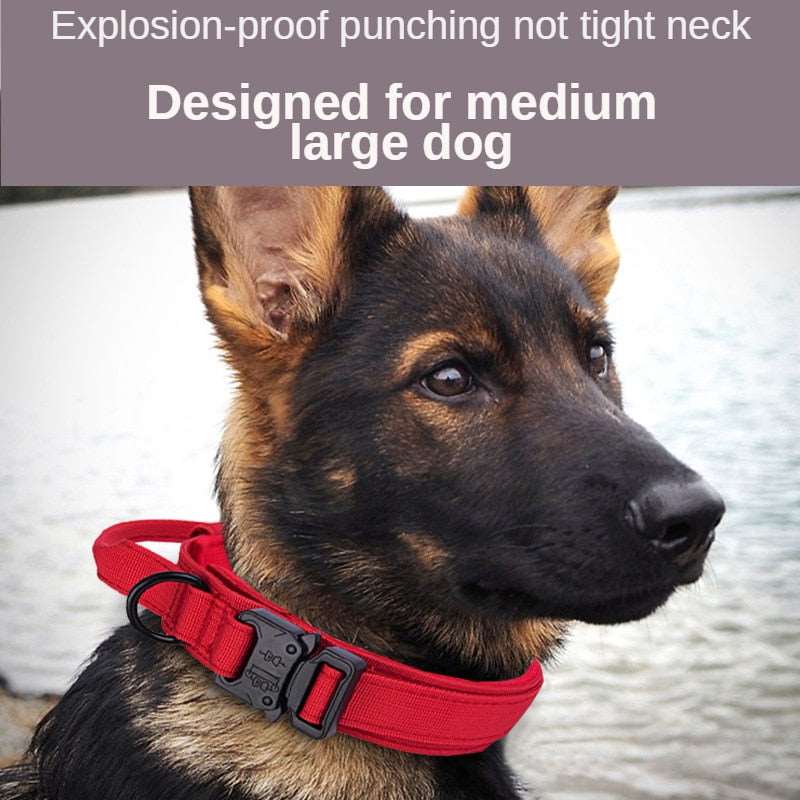 Tactical Dog Collar & Leash Australiandogbrokers.com.au