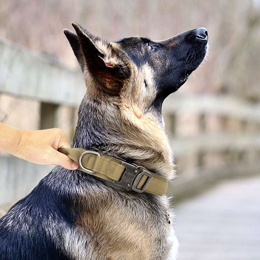 Military Tactical Dog Collar & Bungee Leash Set Australiandogbrokers.com.au