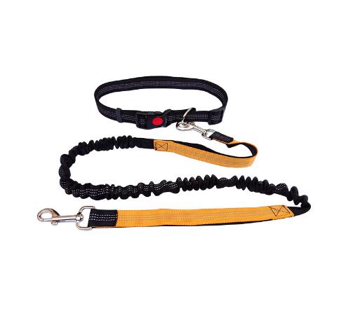 Dogs Running Leash Australiandogbrokers.com.au