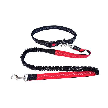 Dogs Running Leash Australiandogbrokers.com.au