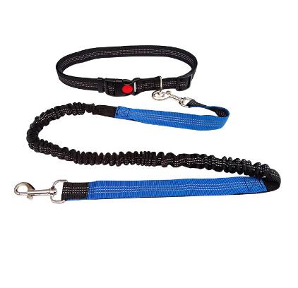 Dogs Running Leash Australiandogbrokers.com.au