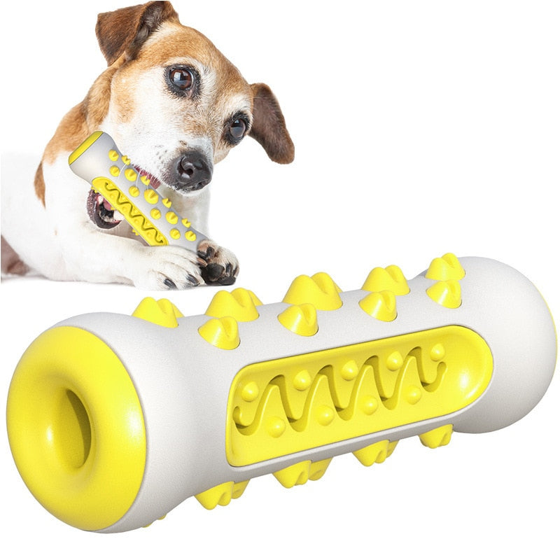 Dog Molar Toothbrush Toys Australiandogbrokers.com.au