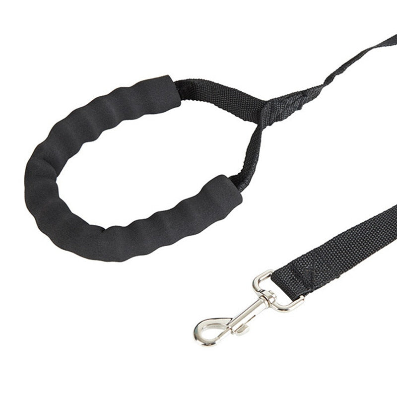 Long Dog Leash Australiandogbrokers.com.au