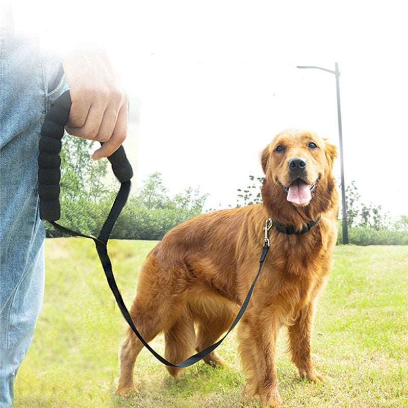 Long Dog Leash Australiandogbrokers.com.au