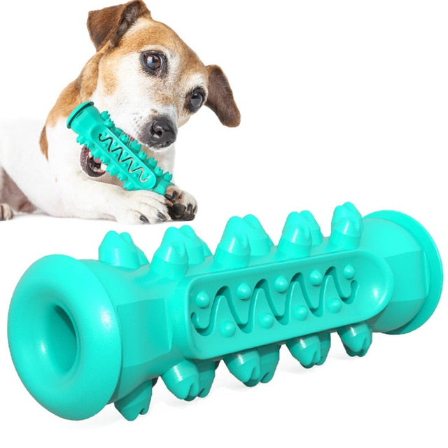 Dog Molar Toothbrush Toys Australiandogbrokers.com.au