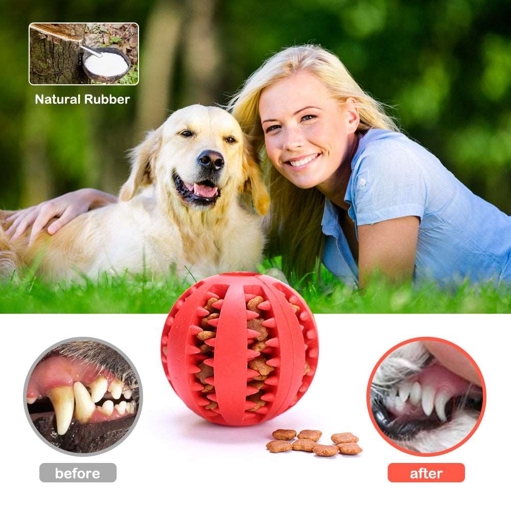 Dog Bite Toy Australiandogbrokers.com.au