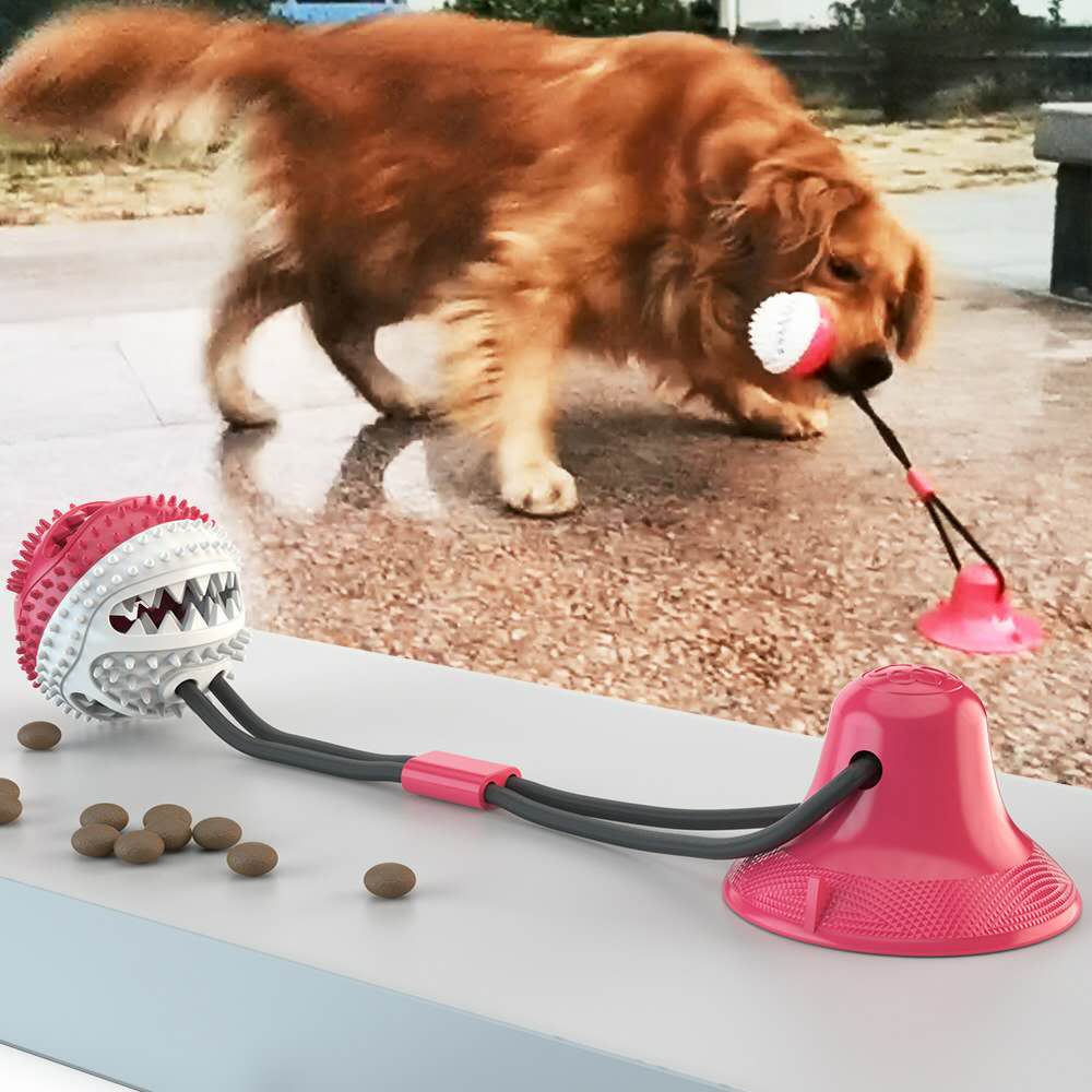 Suction Cup Tug Toy Australiandogbrokers.com.au