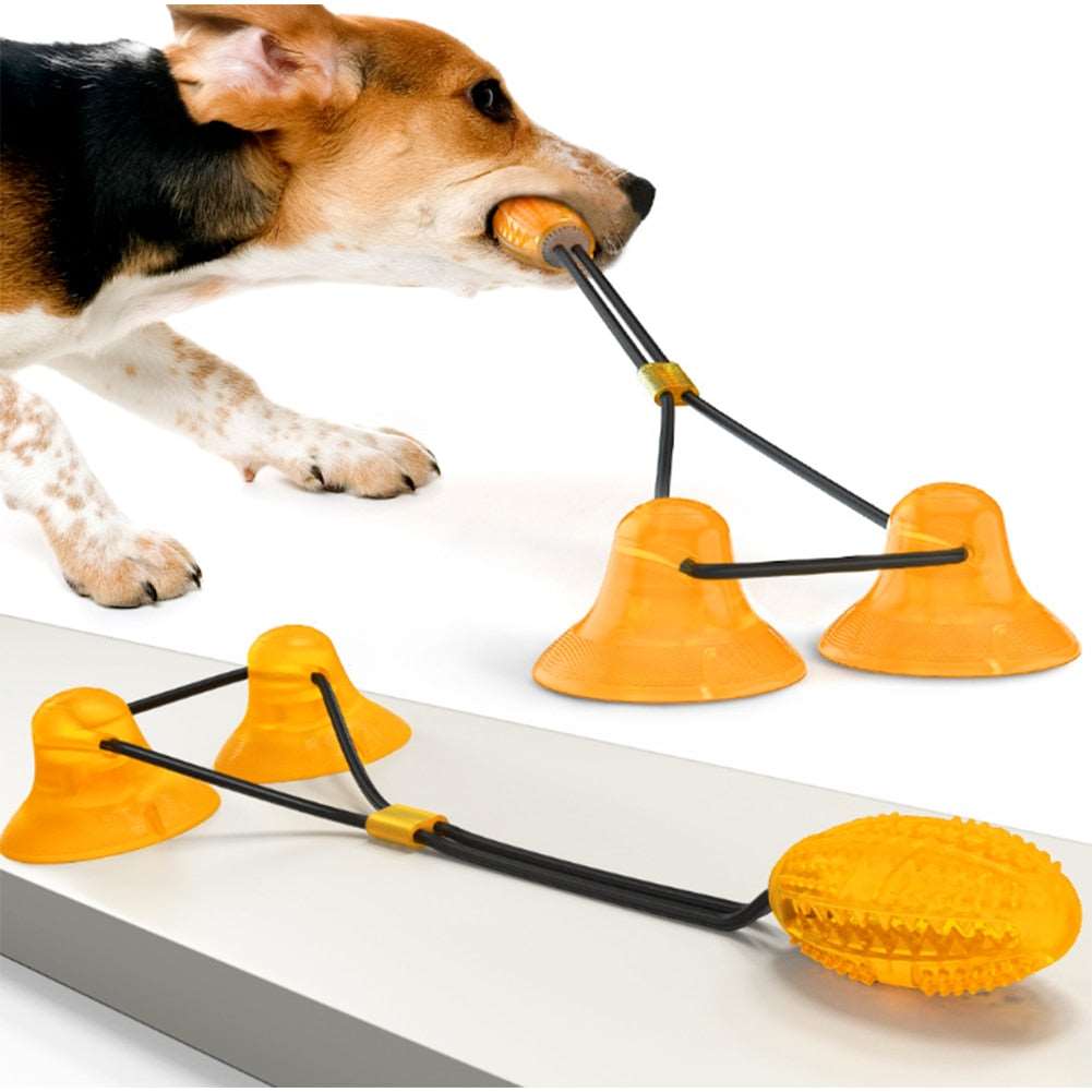 Suction Cup Tug Toy Australiandogbrokers.com.au