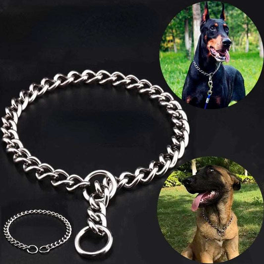 Dog Training Collar Australiandogbrokers.com.au