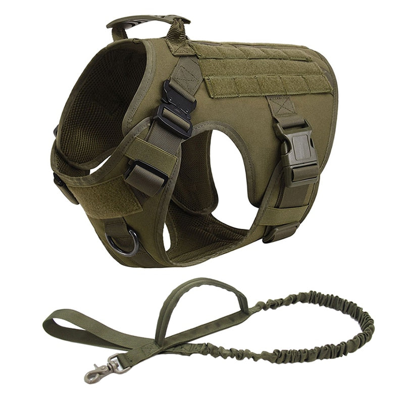 Military Style Harness and Leash Australiandogbrokers.com.au