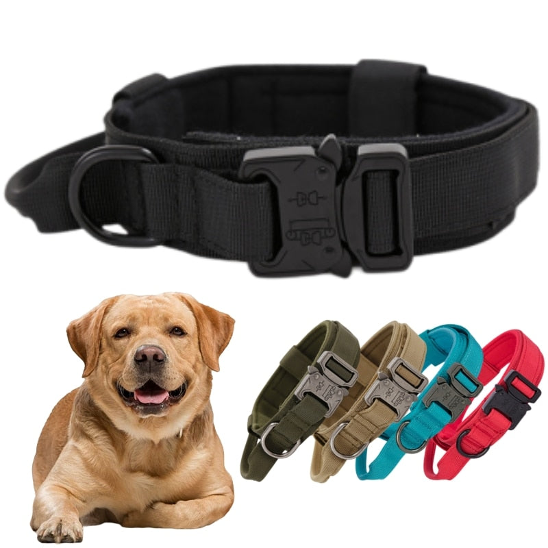 Tactical Dog Collar & Leash Australiandogbrokers.com.au