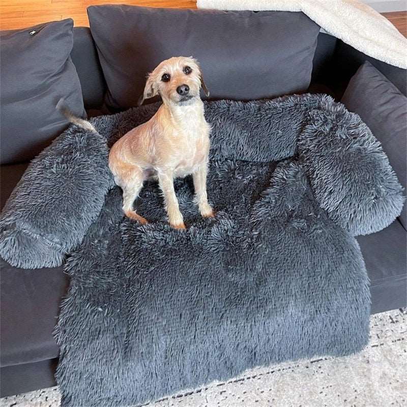 Dog Sofa Bed Australiandogbrokers.com.au