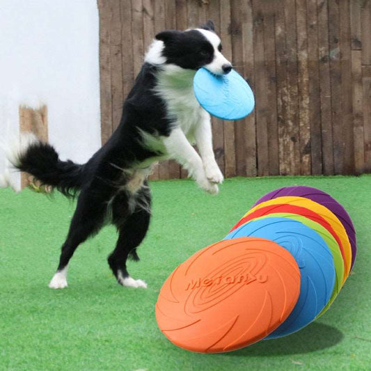 Dog Flying Disk Toy Australiandogbrokers.com.au